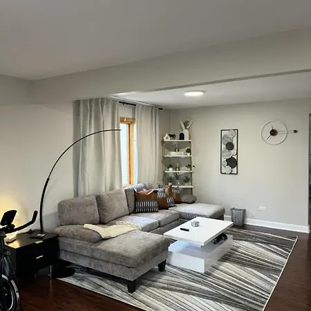 3Br Gym Workspace Chicago Condo